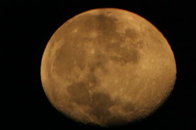 img_7258.jpg